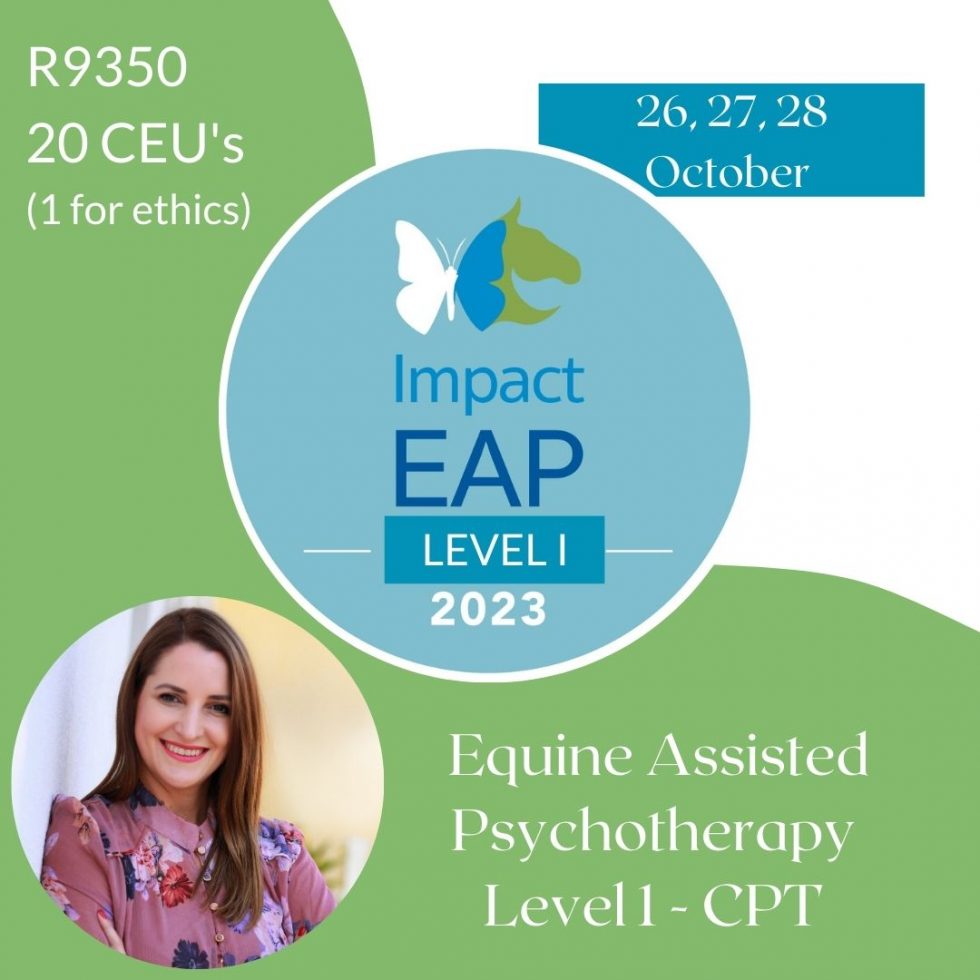 shop-courses-impact-therapy-training