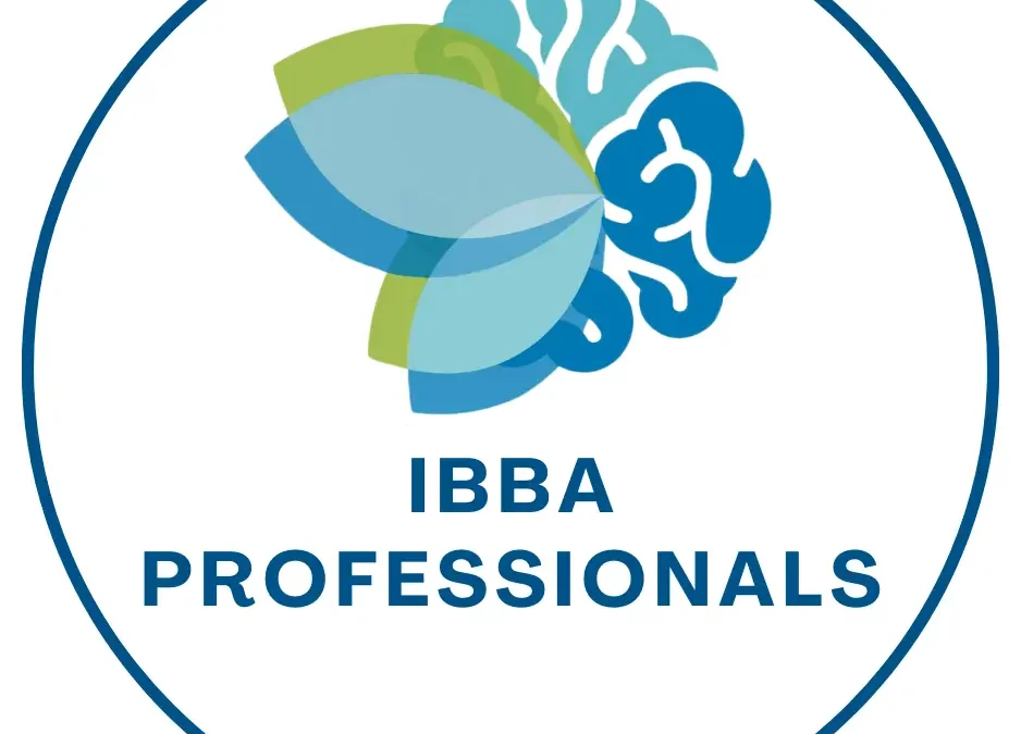 IBBA Workshop Parts – Dec 2024