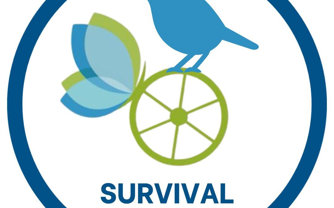 Survival Styles 2025